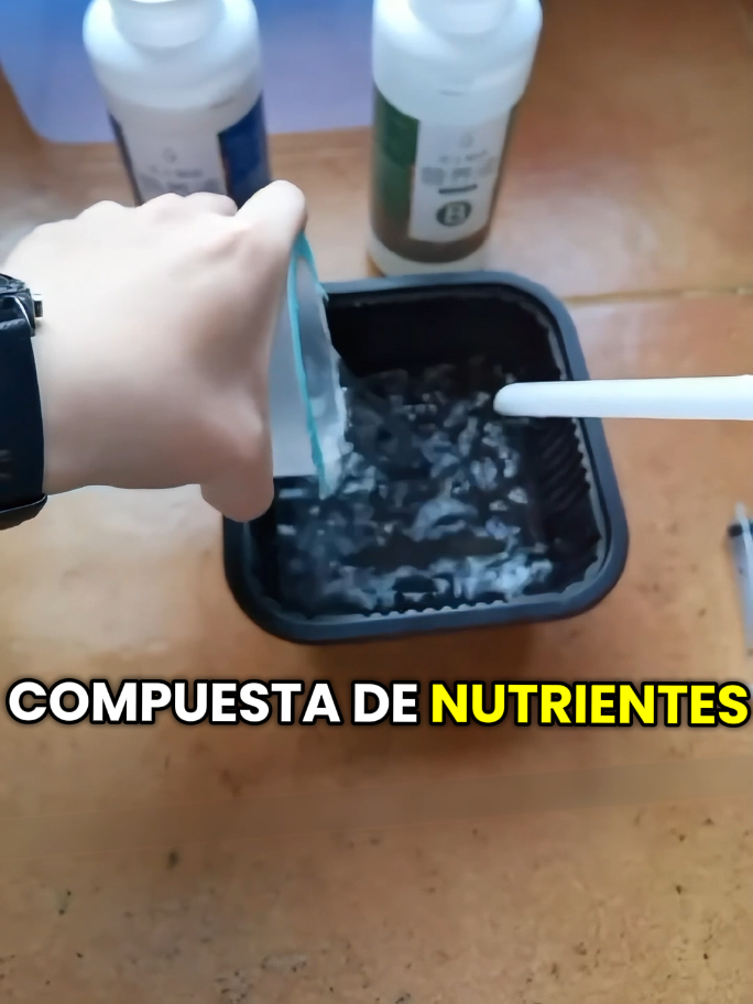 ¿Qué se le hecha al agua en Hidroponía? Aquí te lo explico 👆  ✅️ SIGUENOS y DESCUBRE los DETALLES que te harán un EXPERTO en HIDROPONÍA 💧🥬 #hidroponia #hidroponik #cultivo  hidroponia - agua - solucion