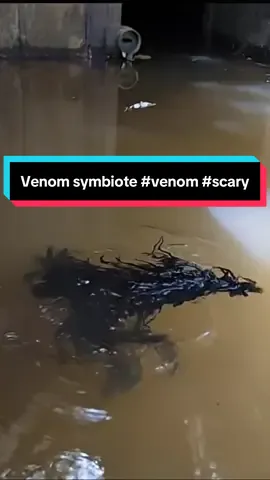 Venom symbiote #venom #scary