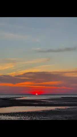 day 1/365 #fyp #senja  #sunset #monokrom 