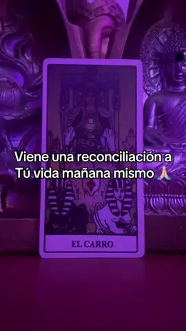 Mañana mismo tu persona especial volverá y compartes este video ❤️ #tarot #astrosyarcanosdeluz #tarothoy #tarotamor #tarotgratis 