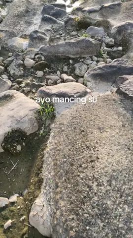 panggilan keras untuk anda🫵#mancing#fyp#foryoupage#moots 