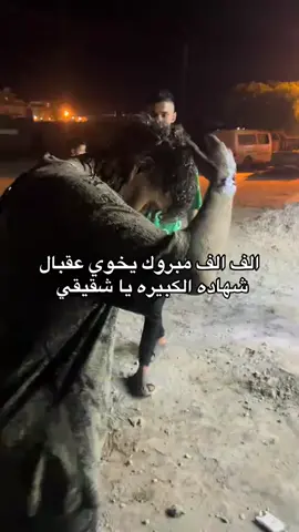 #الف_مبروك #المرج_بنغازي_البيضاء_طرابلس_ليبيا #بنغازي_ليبيا🇱🇾 #@﮼مفتاح،العرفي 🤍 ! 