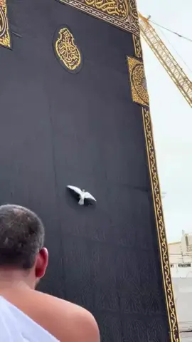 🤲🤲🤲❤️❤️❤️#makkahmadinah🕋 #for 