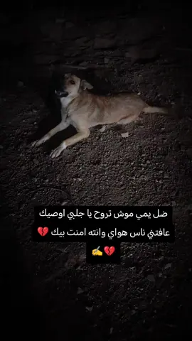 #اقتباسات_عبارات_خواطر🖤🦋❤️ #for #لايك__explore___ #الغريب #اكسبلورexplore 