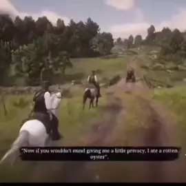 Always the low quality  • • #reddeadredemption2 #reddead #gamers #gamingcommunity #GamingOnTikTok 