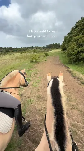 Skill issue for sure, tag someone who can’t ride. 🫶✨ #horselife #equestrainlife #fjordhorse #fjordhest #koudbloeden 