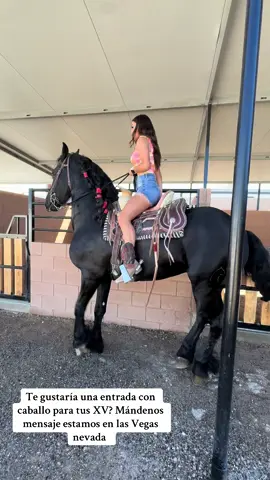 Tengo las mejores quinceañeras 🥰 gracias por confiar en mi negocio 🫶🏻  • El diamante negro disponible para sesión de fotos y entradas  • Manden mensaje para apartar tu fecha🐴 • #caballosbailadores #lasvegas #horsesontiktok #quinceañera 