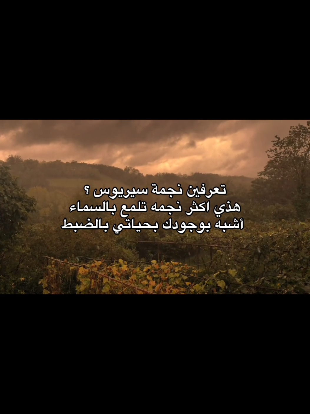 #spidey  #foryoupage 