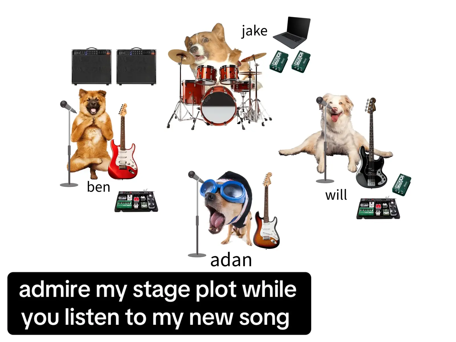 #fyp #ska #chicagomusic #sublime #beck 