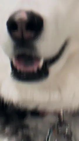 #pretty #paratiiiiiiiiiiiiiiiiiiiiiiiiiiiiiii #iloveyou #amy 