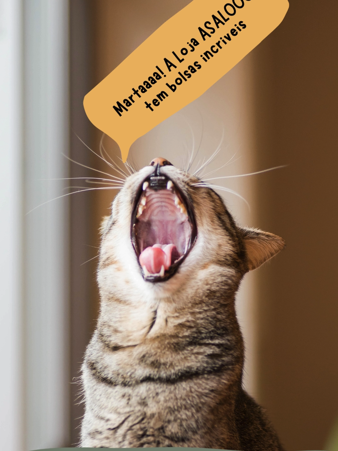 Garanta já a sua #asaloog