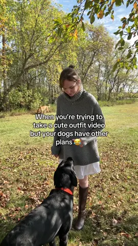 if you made it to the end, my apologies lol  #dogtok #dogsoftiktok #funnydogvideos #outfitinspo #comeon 