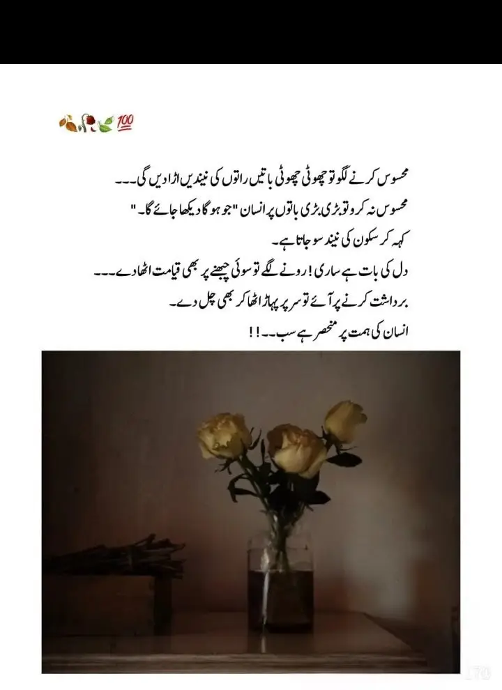 جس طرح مرے ہوئے لوگ دوسروں کے معاملات میں دخل نہیں کرتے ان کے غم یا خوشی میں شریک نہیں ہو سکتے،  اس طرح مرے ہوئے دل بھی کسی سے حسد نہیں کرتے نہ ہی کسی کے چھوڑ جانے کا دکھ کرتے ہیں... وہ بس اپنا سفر طے کرتے ہیں، اور خدا کی طرف لوٹ جانے کا انتظار کرتے ہیں، 💐✨.