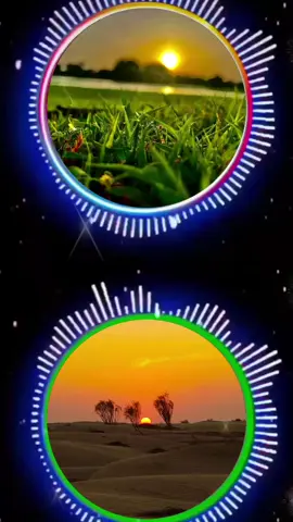 #الجزائر🇩🇿 