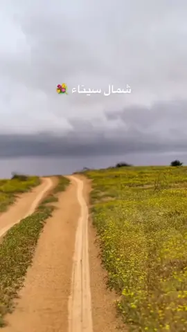 ابو خلف سواركه ولنا في قمة المجد ريات 