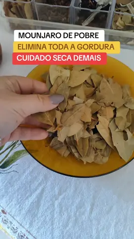 #cha #queimargordura #chadelouro 