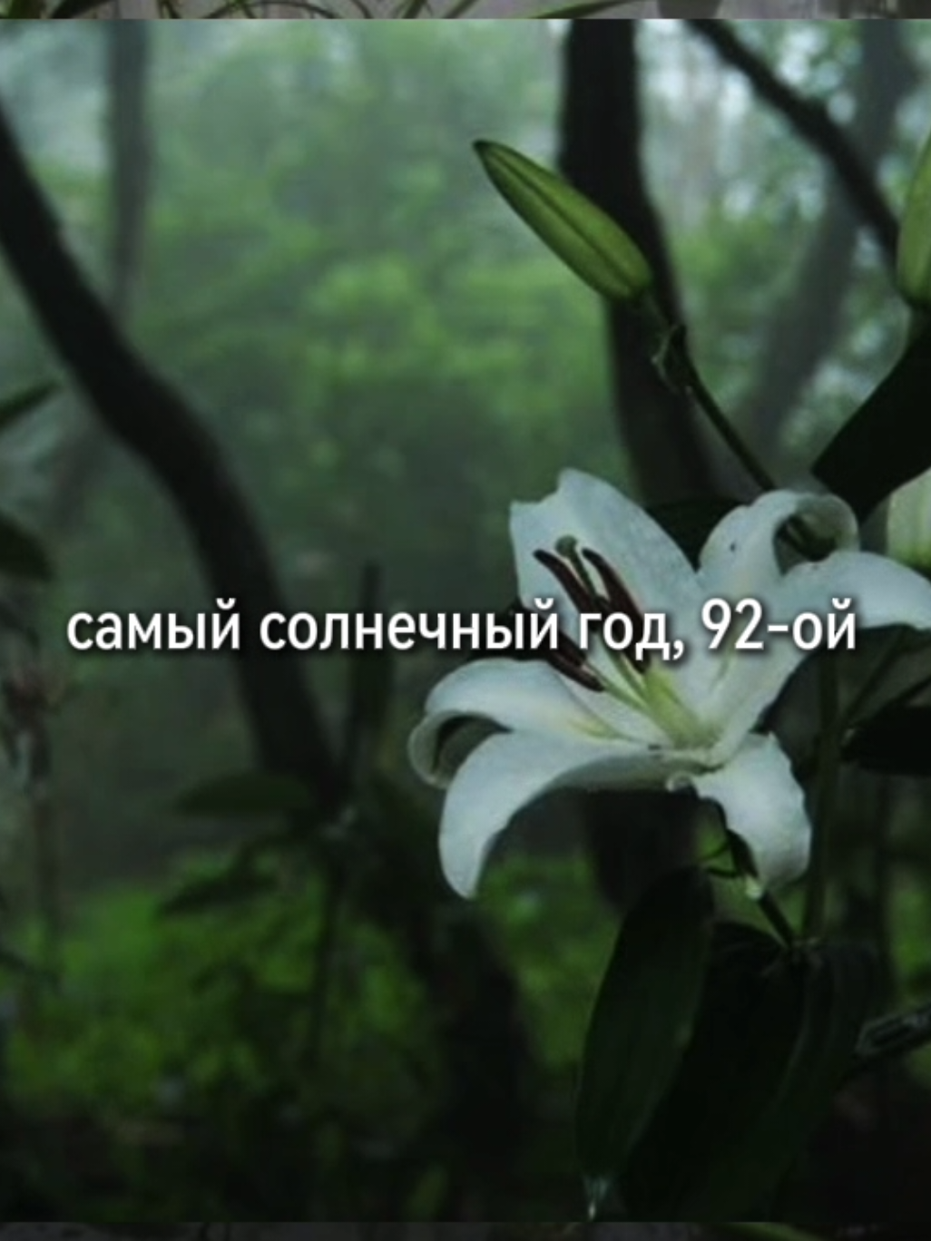 валентин стрыкало - 92 #щп #щитпост #щитпостинг #валентинстрыкало #стрыкало #92 #песня 