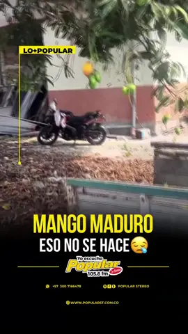 pero .. que ven mis oídos.. #cague_de_Risa🤣
