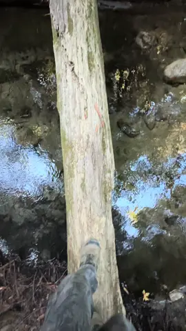 Be thankful. #fentysuperbrandday #adventure #explore #wanderlust #needthat