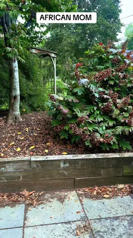 How accurate is this 😂#raptureready #rapture2025 #rapturetok 