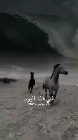 #في هذا اليوم 