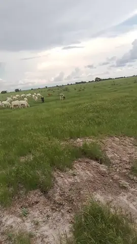 #أبوعبدالباقي 