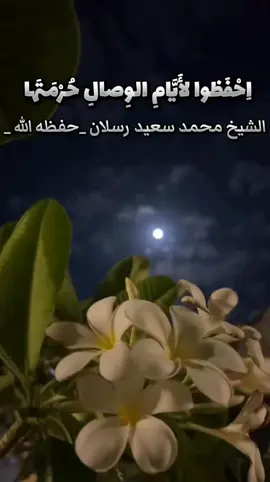 #رسلان #الشيخ_محمد_سعيد_رسلان #التوحيد #لا_إله_إلا_الله_محمد_رسول_الله 