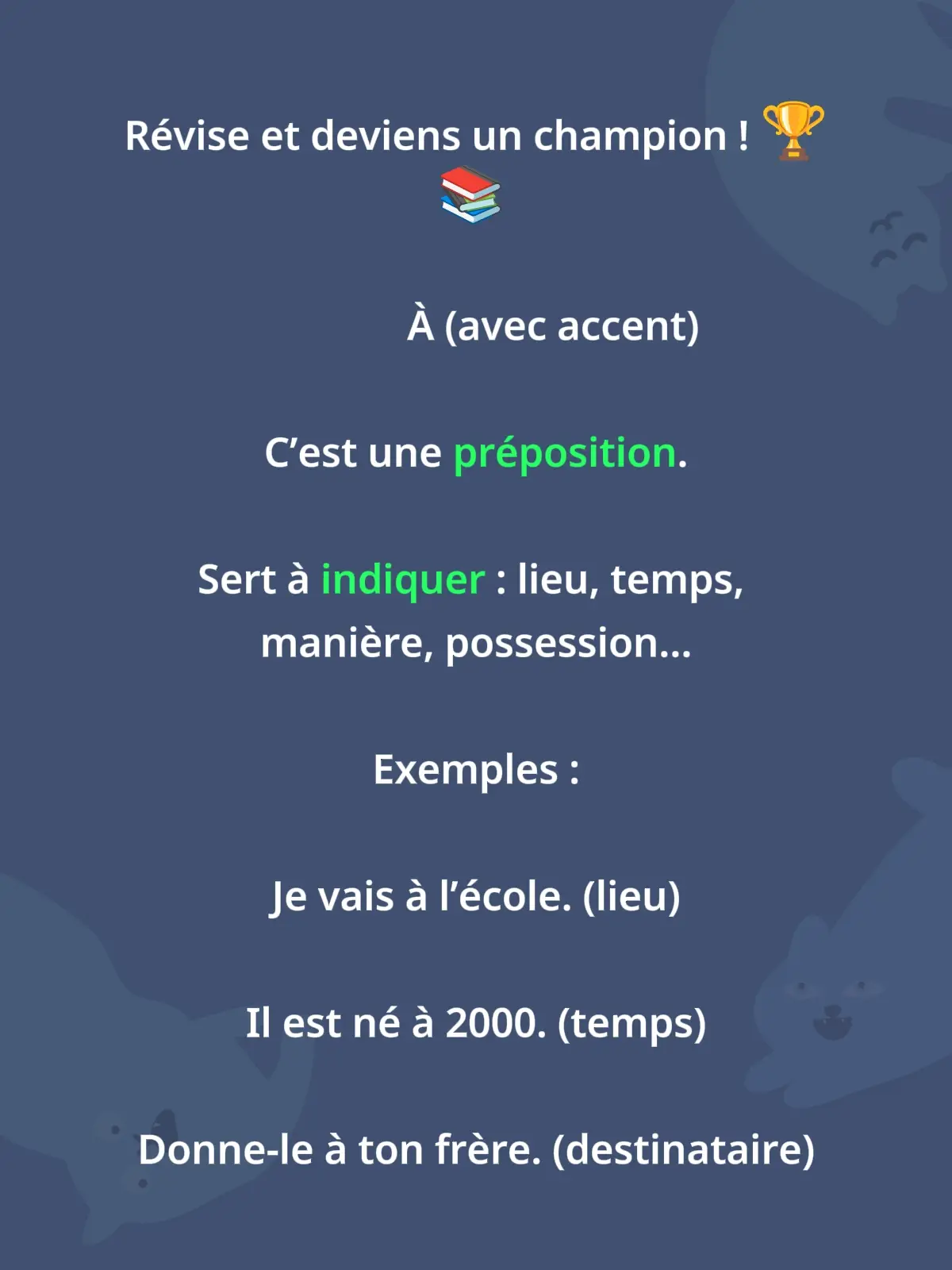 #revisiontok #apprendrelefrançais 