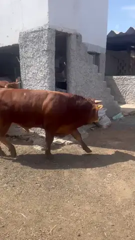 ❤️❤️