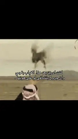#foryoupage #B #طير #b #foryoupagе 