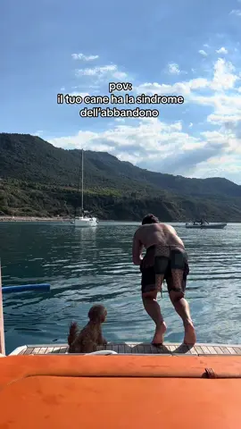 Ti amiamo Cleo😭🐘♥️ #maltipoo #poodle 