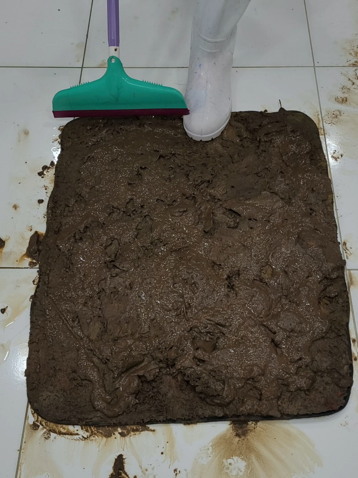 Cleaning satisfying carpet covered in mud #asmrcleaningvideo #asmrsounds #rugcleaning #ASMR #asmrcleaning #explore #asmr #SatisfyingClean #restoration #carpetwash #cleaning