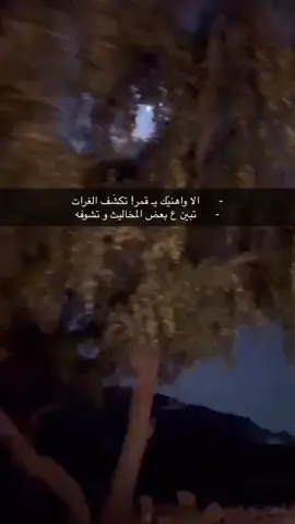 #اكسبلورexplore 