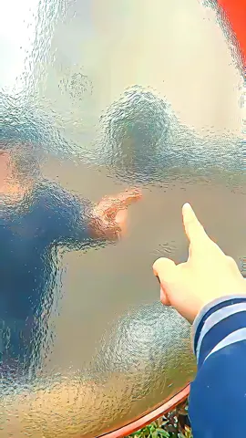 1FPS #shrek #shrekedit #cartoon #aesthetic #fyp #edit #aesthetics #120fps #4k #goviral