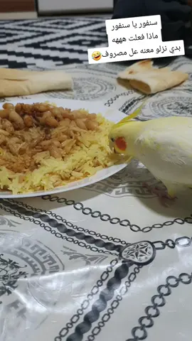 #النمسا🇦🇹 #فينا🇦🇹 #المانيا_السويد_النمسا_النروج_دينيمارك #مشاهير_تيك_توك_مشاهير_العرب #متابعه_ولايك_واكسبلور_فضلا_ليس_امر 