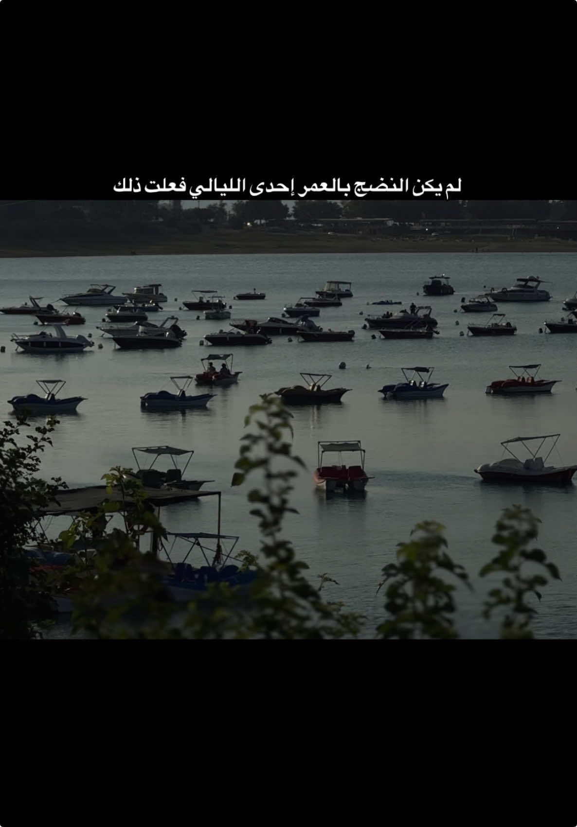 لم يكن النضج بالعمر إحدى الليالي فعلت ذلك #hasan_31_12 