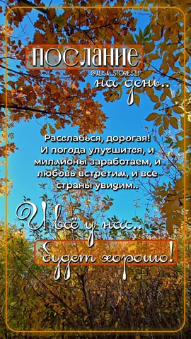 С добрым осенним утром! Пусть этот день принесет вам много тепла и уюта, несмотря на прохладную погоду🍁🍂🤎#доброеутросвежее #доброеутроновинки #доброеутропозитивчик #сдобрымутромновинки2025 #доброеутро2025свежее 