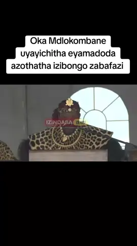 Bayede #kingmisuzulukazwelithini  #kingzwelithinikabhekuzulu  #kingbhekuzulukadinuzulu  #kingbhekuzulukadinuzulu  #zulukingdom 
