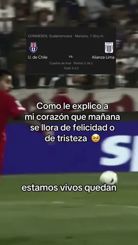JUNTOS HASTA EL FINAL 💙🤍 #sudamericana #alianzalima #cuartosdefinal #udechile #comandosvr 