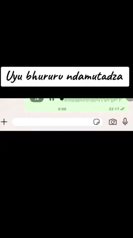 #creatorsearchinsights #voice #audio #recording #fyp 