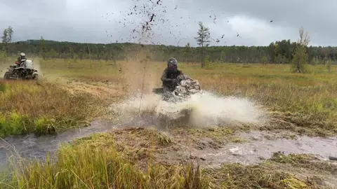 Ручьи и в болотах бывают? 