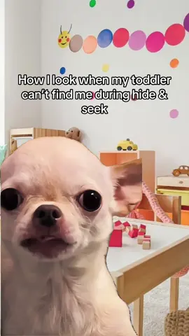 #fyp #MemeCut #tiktoktrend #toddlersoftiktok #MomsofTikTok 