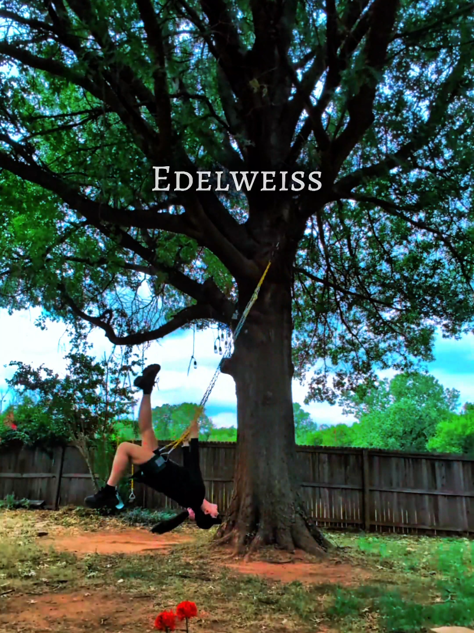 Bless my homeland forever