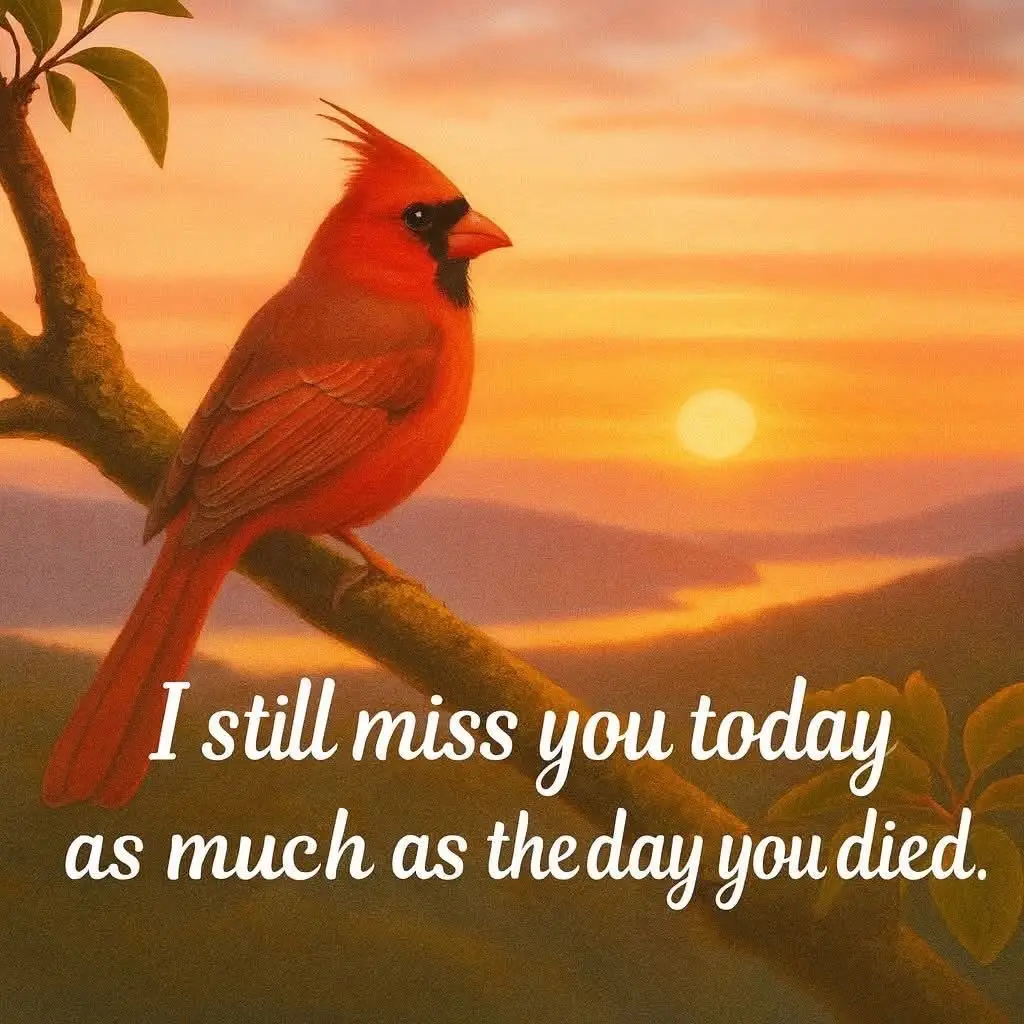 1yr ago we lost you. We weren’t ready, we weren’t prepared and you should have never left. It’s not fair and we are all so deeply devastated by your loss. We honor you, remember you and love you with everything we have. Love you, miss you sista! 