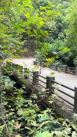 #lebanon #Love #nature #takehikelb 