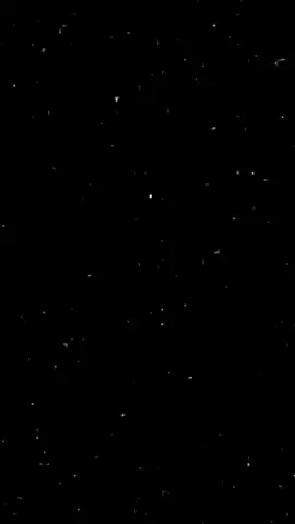 Didine canon 16 Officiel  #didinklach #didinecanon16 #fyp #rapdz16🇩🇿🇲🇦🇹🇳 #تصميم_فيديوهات🎶🎤🎬 