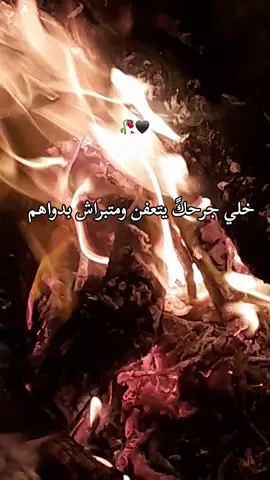 #تهلاو_ولاد_بلادي🇩🇿💛👌  #شعب_الصيني_ماله_حل😂  #algeria #dz 