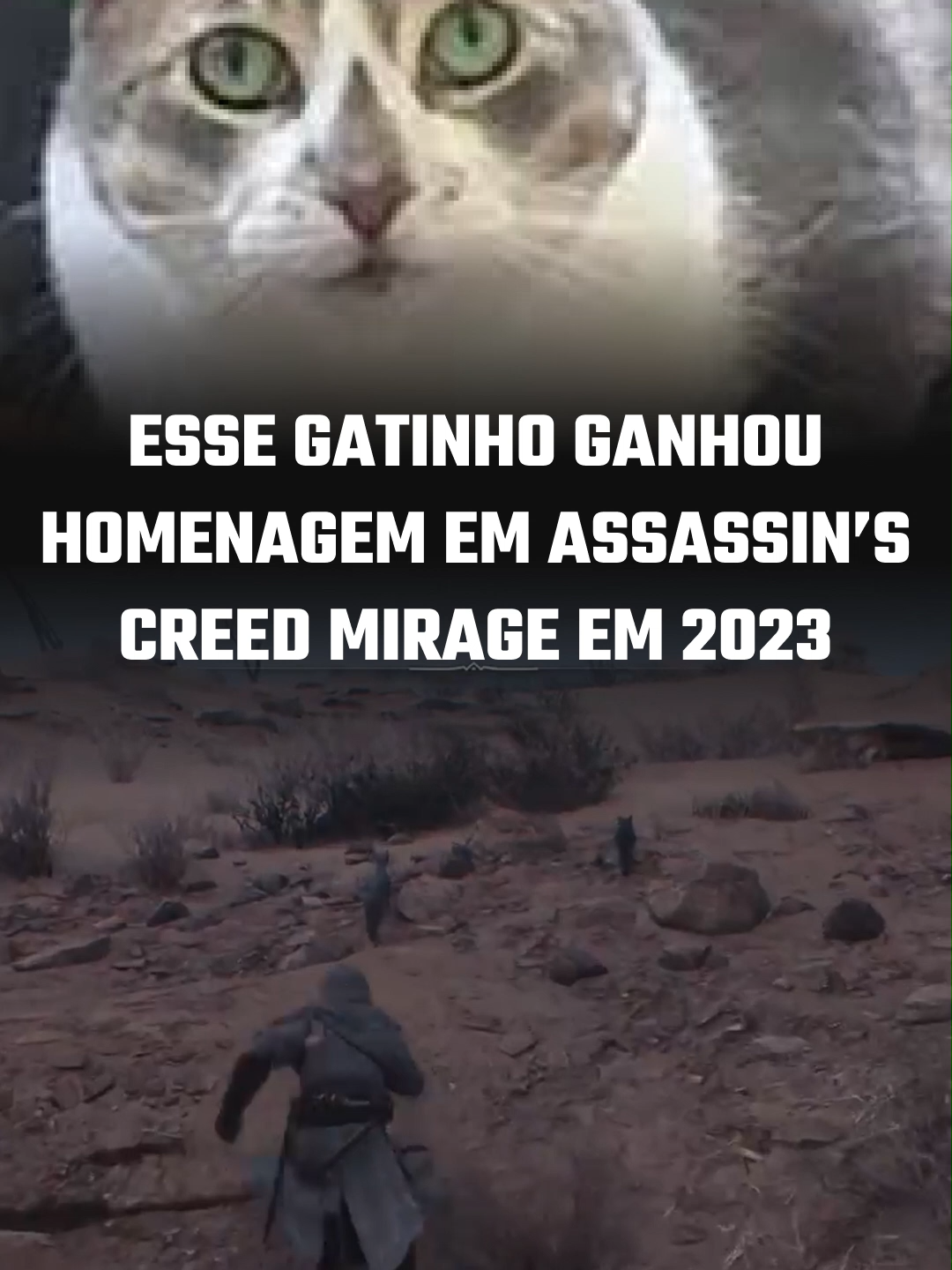 ESSE GATINHO GANHOU HOMENAGEM EM ASSASSIN'S CREED MIRAGE! Em 2023, a Ubisoft incluiu dentro do jogo uma homenagem ao mascote de um fã. O gatinho tinha uma mancha com o formato do emblema do jogo, você pode encontrar o felino em Abbasiyah Bureau ou Damascus Gate, em Assassin's Creed Mirage. A homenagem foi muito bem recebida pela comunidade, e ficou marcada como um tributo à ligação entre os jogadores e as histórias que os marcam. Vocês sabiam dessa curiosidade?