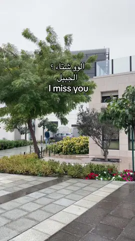 #الشتاء 😔#الجبيل #foryoupag 