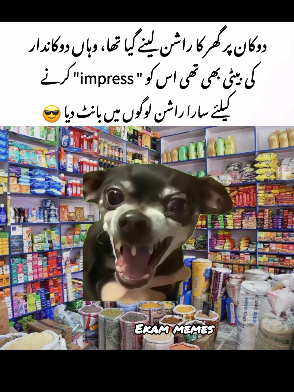 Ghr walo ny software update kr k ghr sy nikaal diya 😢 #trending #ekam #memes #foryou #funnydog 